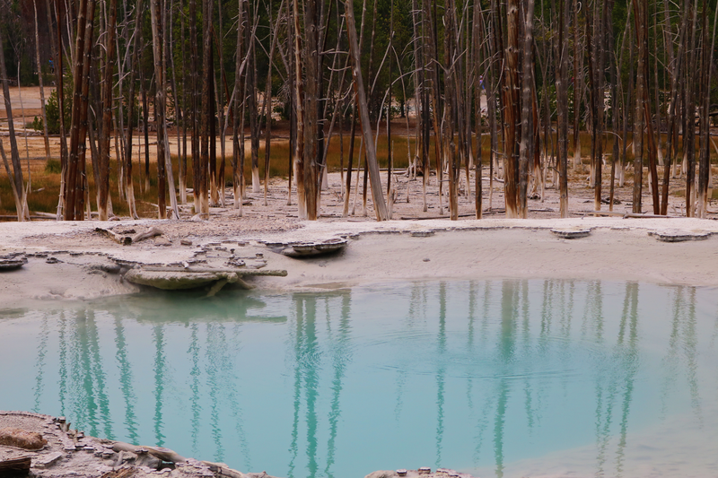 Illustration for article titled Photodump: Yellowstone National Park
